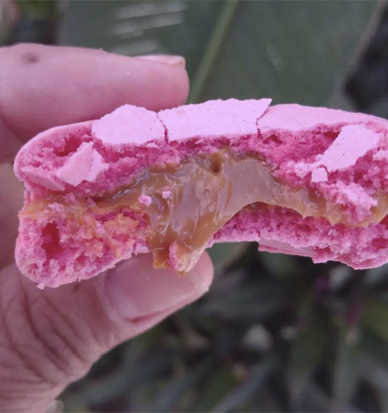 Macarron – Doce de Leite com pedaços de nozes